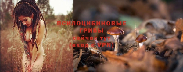 герыч Осинники