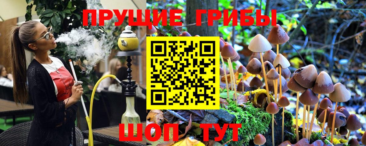 Галлюциногенные грибы GOLDEN TEACHER Благовещенск