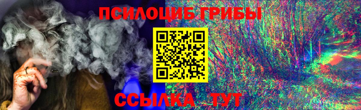 Псилоцибиновые грибы прущие грибы  Вход с VPN  Псилоцибиновые грибы прущие грибы  Благовещенск 
